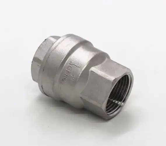 Stainless Steel Vertical Check Valve