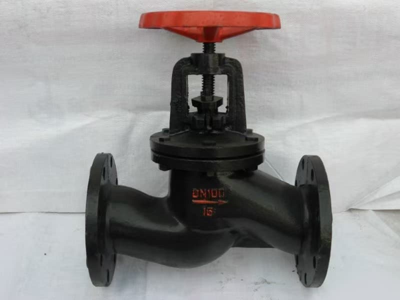 Grey Iron Check Valve