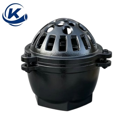 Cast Iron Female Threaded Foot Valve
